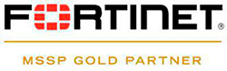 Logotipo Fortinet Partners del programa de digitalización de arsenet